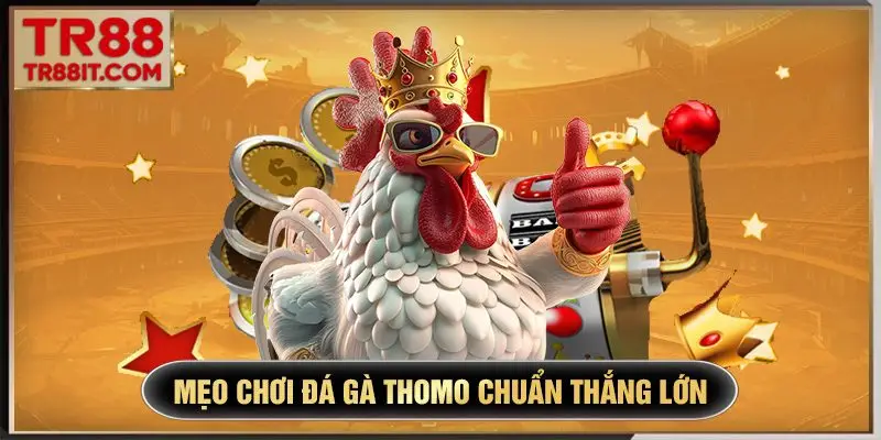 Mẹo chơi đá gà Thomo chuẩn thắng lớn