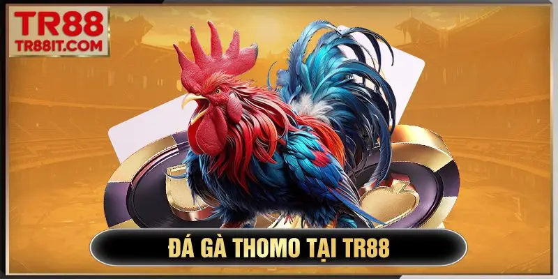 đá gà thomo tại tr88