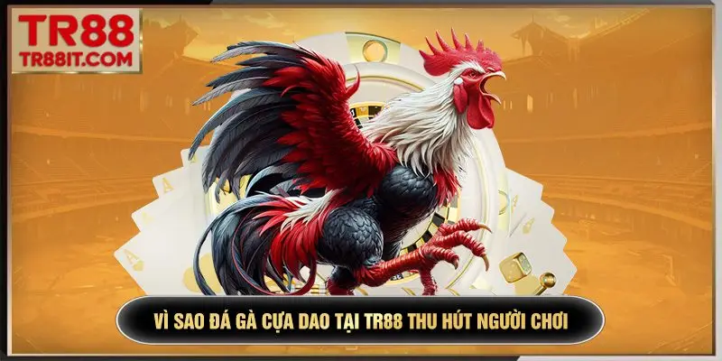 Vì sao đá gà cựa dao tại TR88 thu hút người chơi