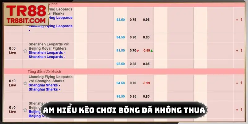 Am hiểu loại kèo là cách chơi bóng đá không thua