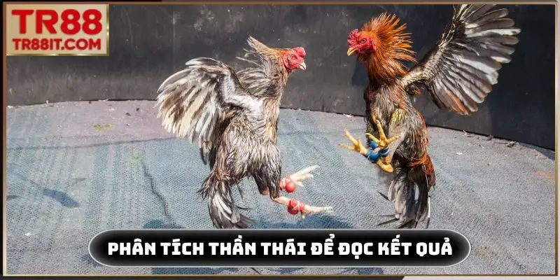 Phân tích thần thái để đọc kết quả