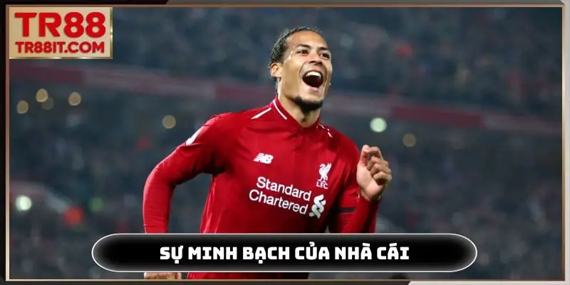 Sự minh bạch của nhà cái khi Virgil van Dijk làm đại sứ